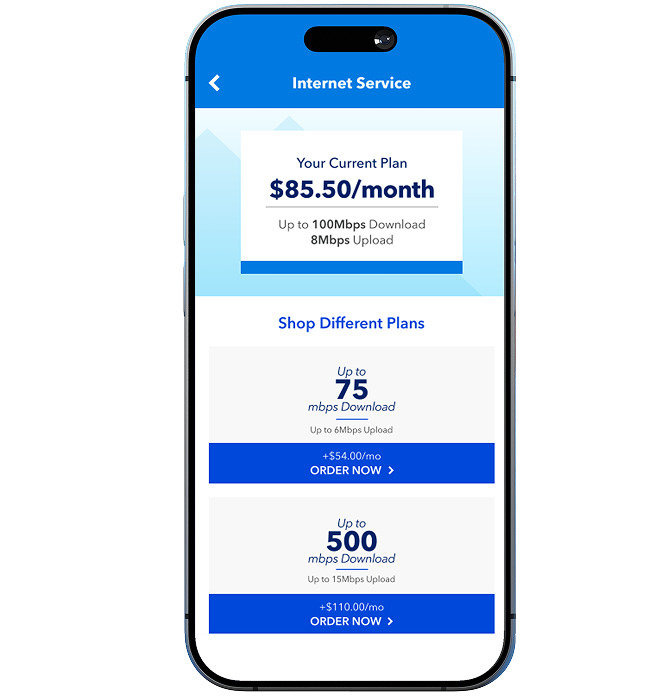 Smartphone showing Blue Ridge internet service plan details and upgrade options