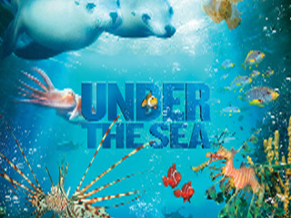 Under The Sea