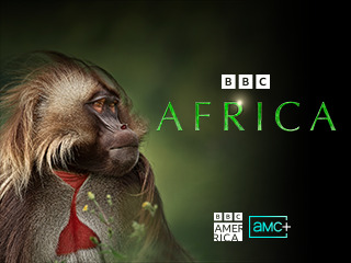 Planet Earth: Africa 103