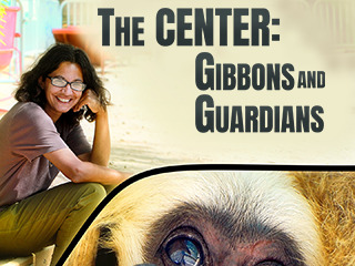 The CENTER Gibbons And Guardians
