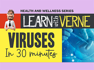 Learn With Verne Viruses In 30 Minutes