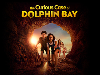 The Curious Case Of Dolphin Bay