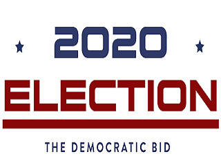 2020 Election The Democratic Bid