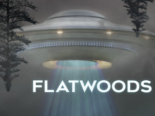 Flatwoods