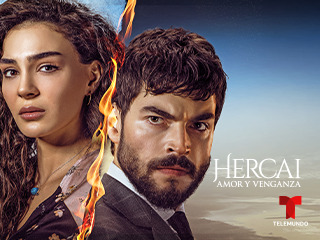 Hercai 316