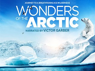 Wonders Of The Arctic