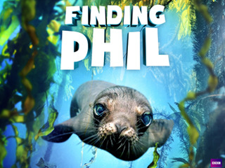 Finding Phil