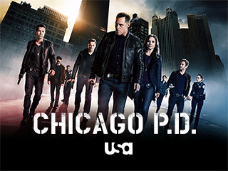 Chicago P.D. 713