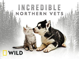 Incredible Northern Vets