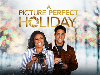 A Picture Perfect Holiday