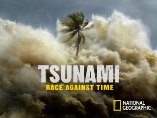 Tsunami: Race Against Time