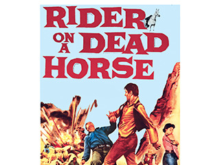 Rider On A Dead Horse