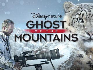 Disneynature Ghost Of The Mountains