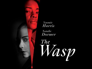 The Wasp