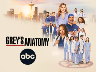 Grey's Anatomy 10-17