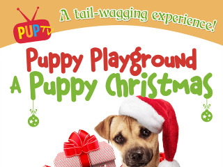 Puppy Playground A Puppy Christmas