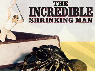 The Incredible Shrinking Man