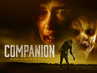 Companion