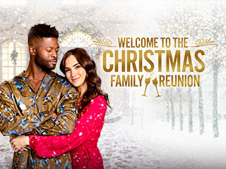 Welcome to the Christmas Family Reunion