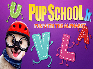 Pup School Jr Fun With The Alphabet