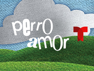 Perro Amor 1253