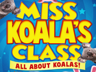 Miss Koala's Class All About Koalas