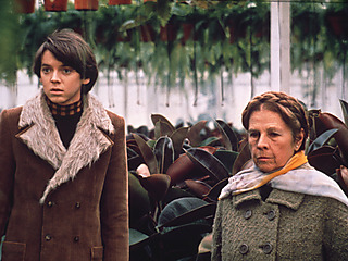 Harold and Maude