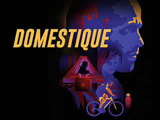 Domestique