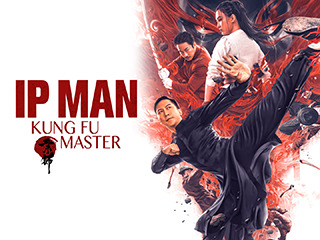 Ip Man Kung Fu Master