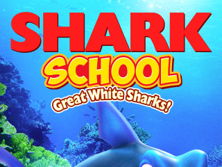 Shark School Great White Sharks