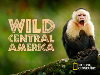 Wild Central America