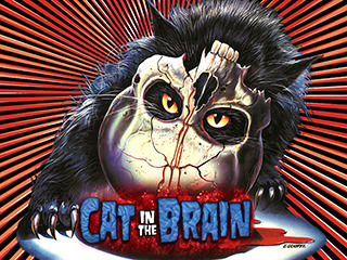 A Cat In The Brain