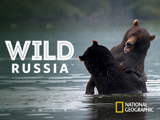 Wild Russia