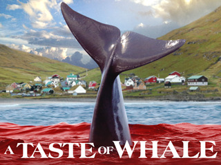 A Taste Of Whale