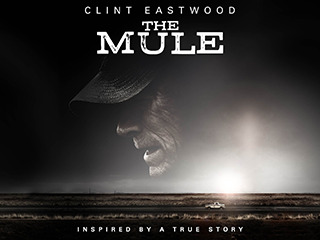 The Mule