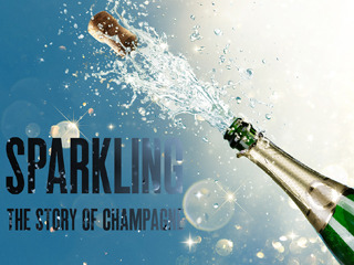 Sparkling The Story Of Champagne