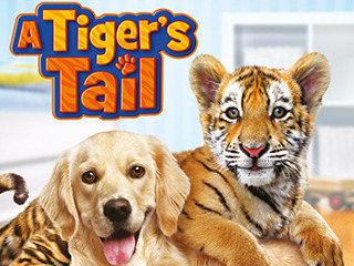 A Tiger's Tail