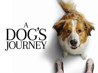 A Dog's Journey