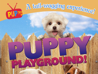 Puppy Playground