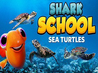 Shark School Sea Turtles