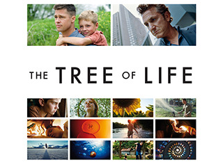 The Tree Of Life