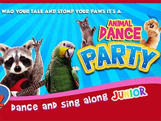 Animal Dance Party