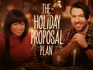 The Holiday Proposal Plan