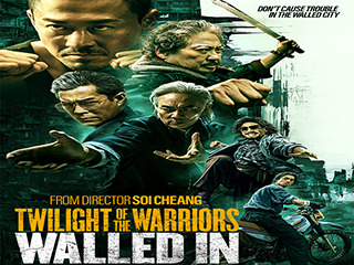 Twilight Of The Warriors Walled In