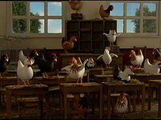 Chickens to School