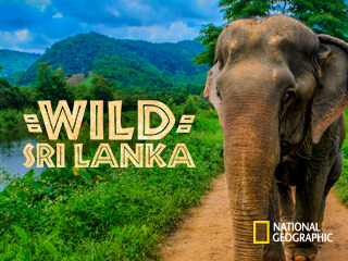 Wild Sri Lanka