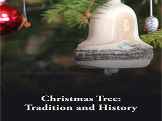 Christmas Tree Tradition And History