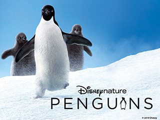 Penguins, Disney Nature