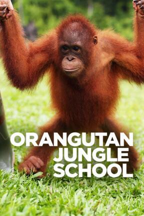 Orangutan Jungle School S2:05