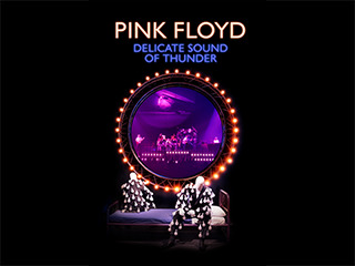 Pink Floyd Delicate Sound Of Thunder